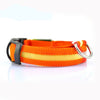 Safety Dog LED Collar